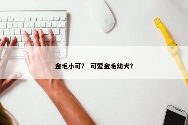 金毛小可？ 可爱金毛幼犬？