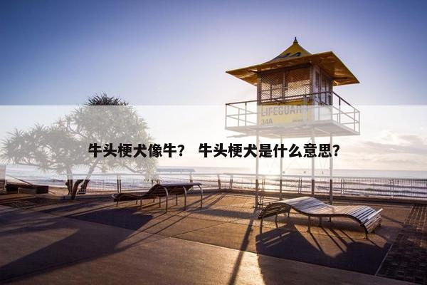 牛头梗犬像牛？ 牛头梗犬是什么意思？