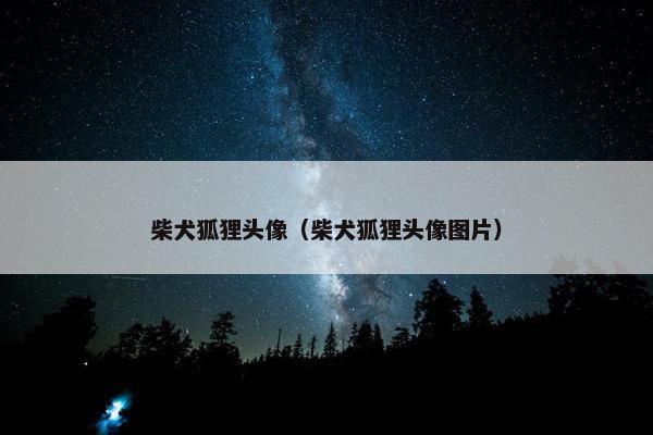 柴犬狐狸头像（柴犬狐狸头像图片）