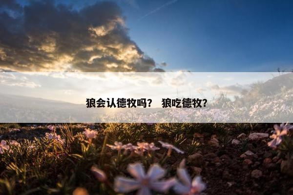 狼会认德牧吗？ 狼吃德牧？