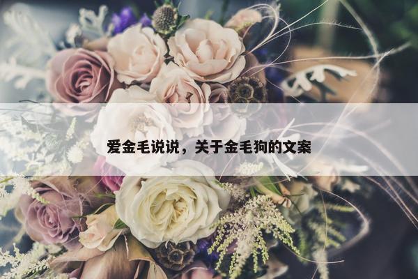 爱金毛说说，关于金毛狗的文案