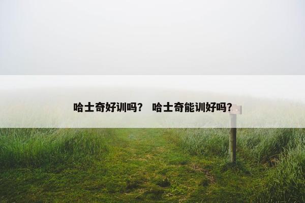哈士奇好训吗？ 哈士奇能训好吗？