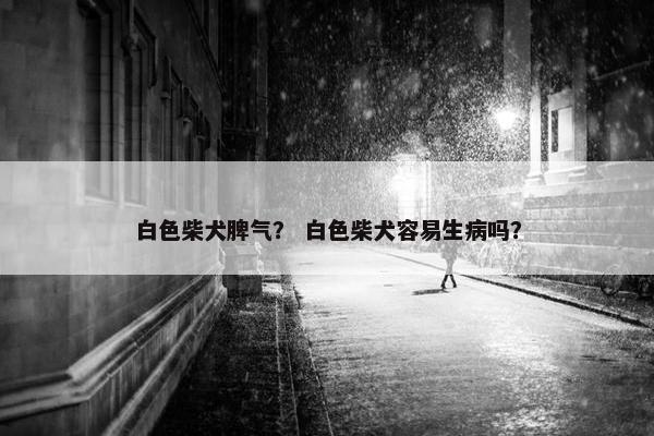 白色柴犬脾气？ 白色柴犬容易生病吗？