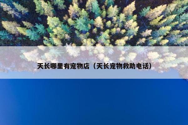 天长哪里有宠物店（天长宠物救助电话）