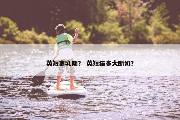英短离乳期？ 英短猫多大断奶？