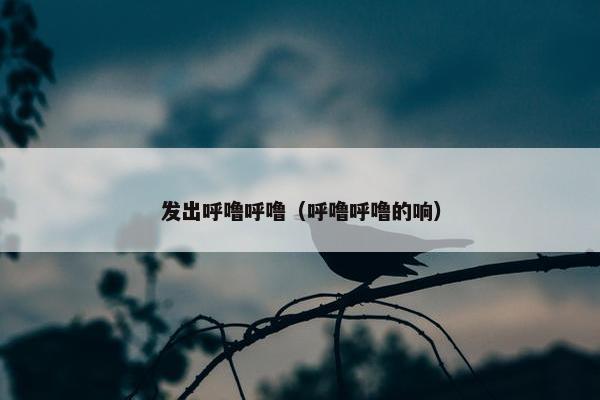 发出呼噜呼噜（呼噜呼噜的响）
