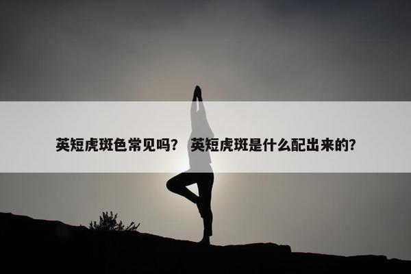 英短虎斑色常见吗？ 英短虎斑是什么配出来的？