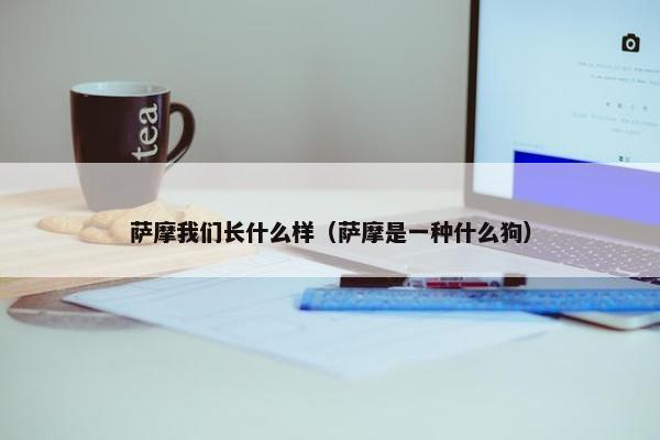 萨摩我们长什么样（萨摩是一种什么狗）