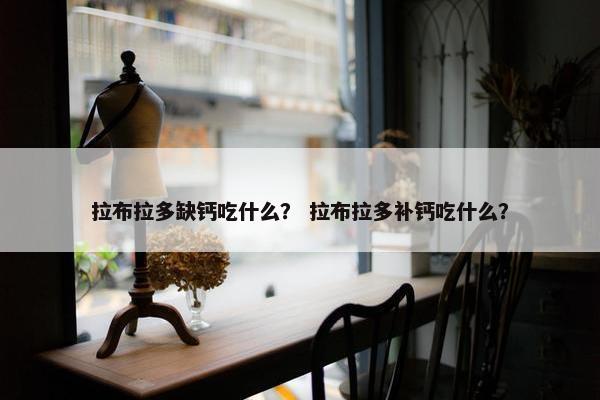 拉布拉多缺钙吃什么？ 拉布拉多补钙吃什么？