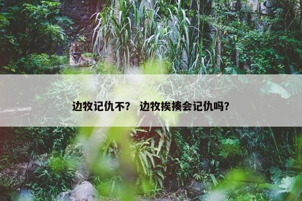 边牧记仇不？ 边牧挨揍会记仇吗？