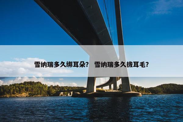 雪纳瑞多久绑耳朵？ 雪纳瑞多久拔耳毛？
