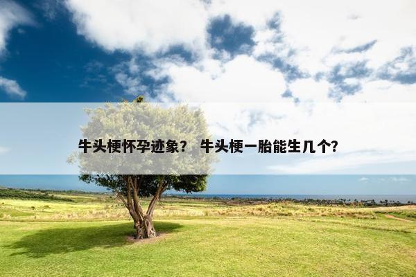 牛头梗怀孕迹象？ 牛头梗一胎能生几个？