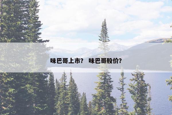 味巴哥上市？ 味巴哥股价？