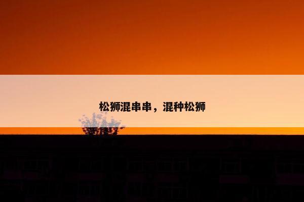 松狮混串串，混种松狮