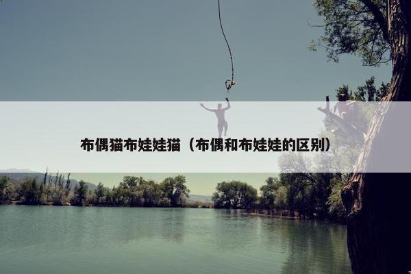 布偶猫布娃娃猫（布偶和布娃娃的区别）