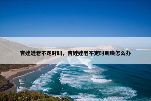 吉娃娃老不定时叫，吉娃娃老不定时叫唤怎么办
