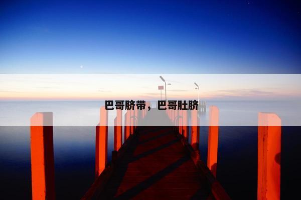 巴哥脐带，巴哥肚脐