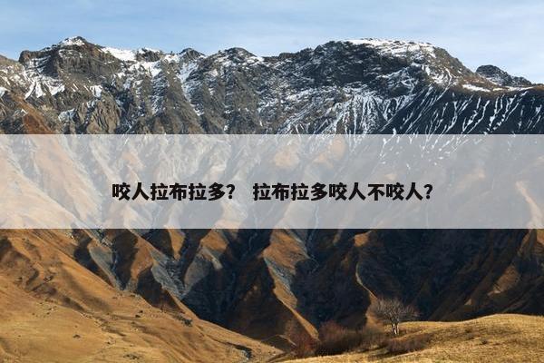 咬人拉布拉多？ 拉布拉多咬人不咬人？