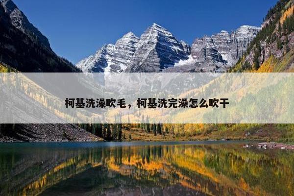 柯基洗澡吹毛，柯基洗完澡怎么吹干