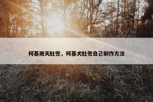 柯基雨天肚兜，柯基犬肚兜自己制作方法