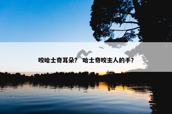 咬哈士奇耳朵？ 哈士奇咬主人的手？