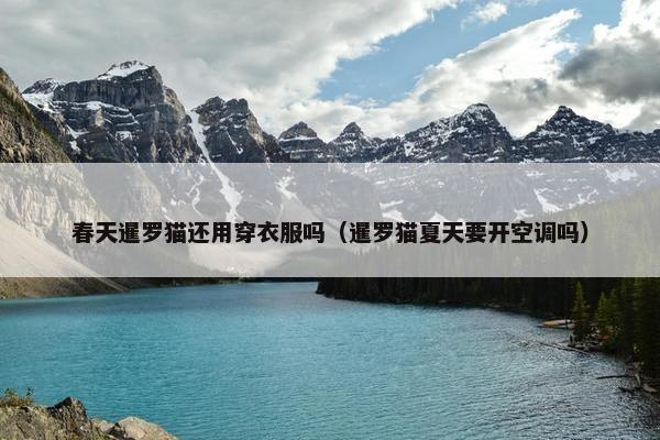 春天暹罗猫还用穿衣服吗（暹罗猫夏天要开空调吗）