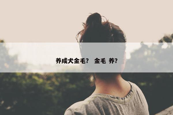 养成犬金毛？ 金毛 养？