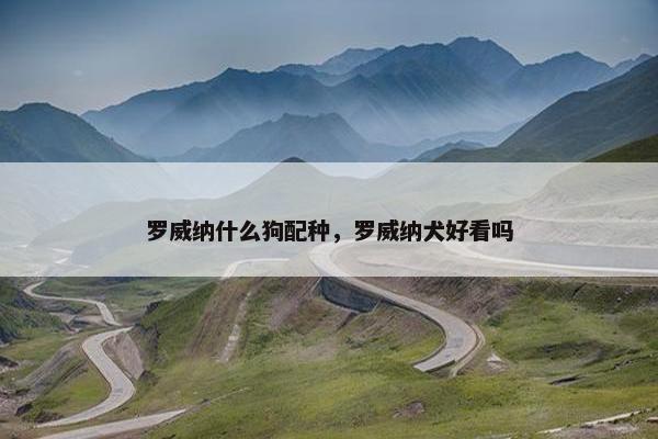 罗威纳什么狗配种，罗威纳犬好看吗