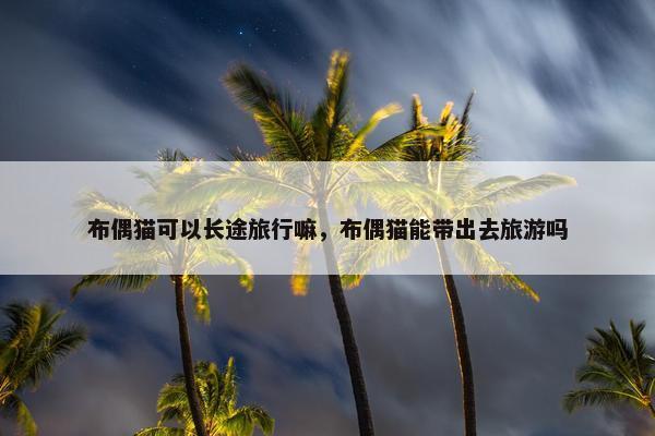 布偶猫可以长途旅行嘛，布偶猫能带出去旅游吗