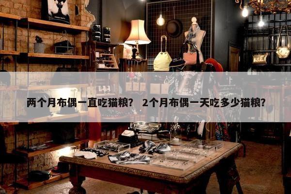 两个月布偶一直吃猫粮？ 2个月布偶一天吃多少猫粮？