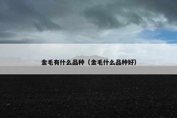 金毛有什么品种（金毛什么品种好）