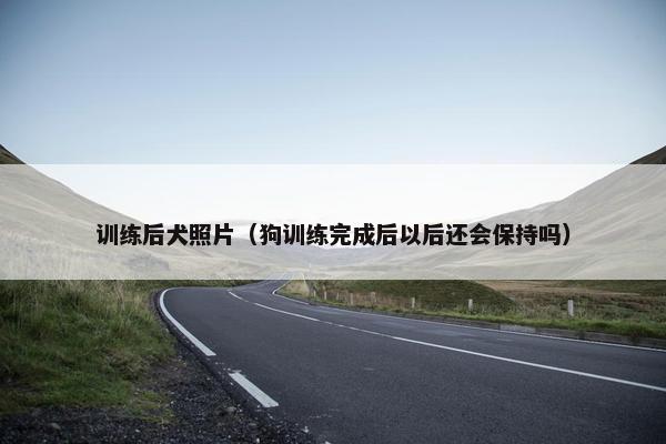 训练后犬照片（狗训练完成后以后还会保持吗）