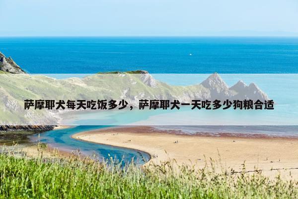 萨摩耶犬每天吃饭多少，萨摩耶犬一天吃多少狗粮合适