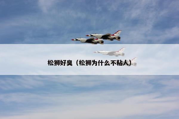 松狮好臭（松狮为什么不粘人）
