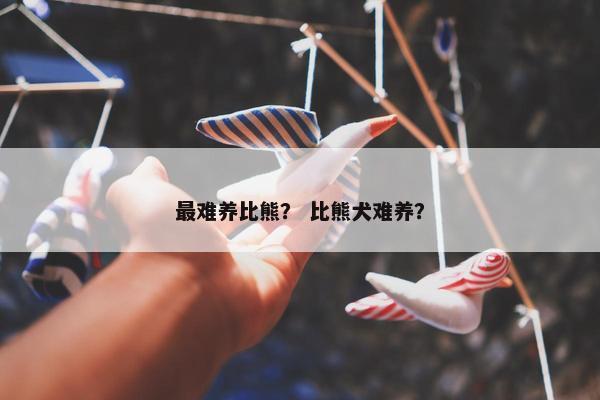 最难养比熊？ 比熊犬难养？