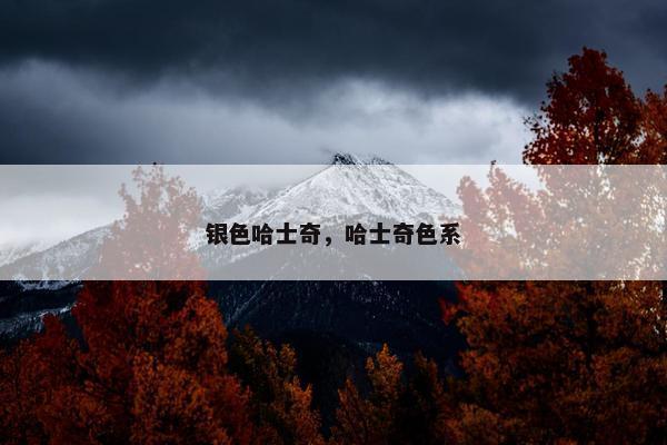 银色哈士奇，哈士奇色系