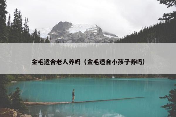 金毛适合老人养吗（金毛适合小孩子养吗）