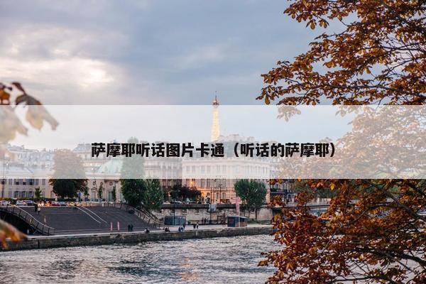 萨摩耶听话图片卡通（听话的萨摩耶）