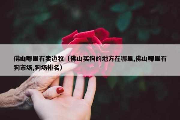 佛山哪里有卖边牧（佛山买狗的地方在哪里,佛山哪里有狗市场,狗场排名）