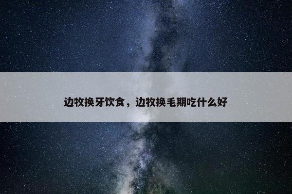 边牧换牙饮食，边牧换毛期吃什么好