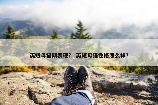 英短母猫期表现？ 英短母猫性格怎么样？
