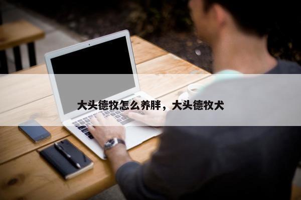 大头德牧怎么养胖，大头德牧犬