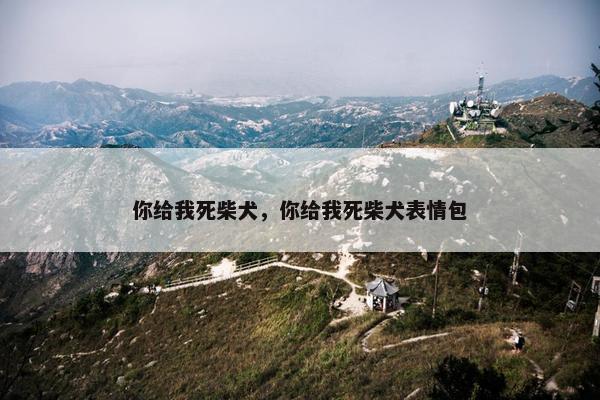 你给我死柴犬，你给我死柴犬表情包