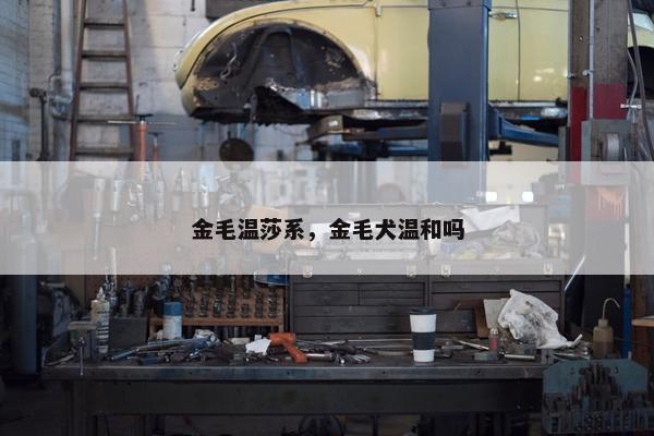金毛温莎系，金毛犬温和吗