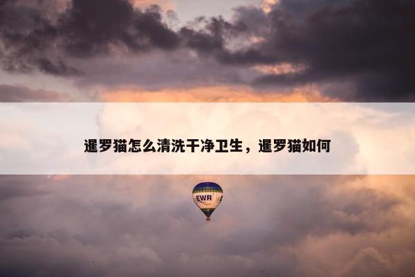 暹罗猫怎么清洗干净卫生，暹罗猫如何