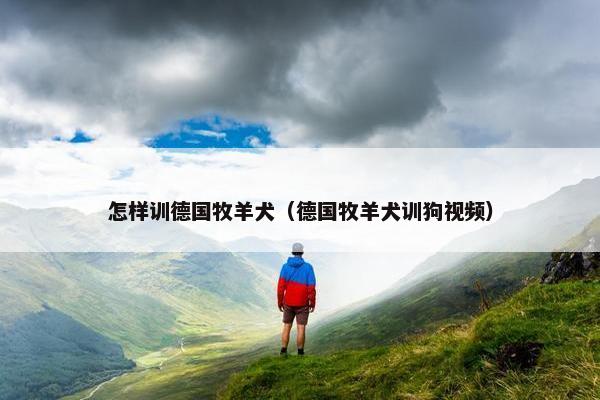 怎样训德国牧羊犬（德国牧羊犬训狗视频）