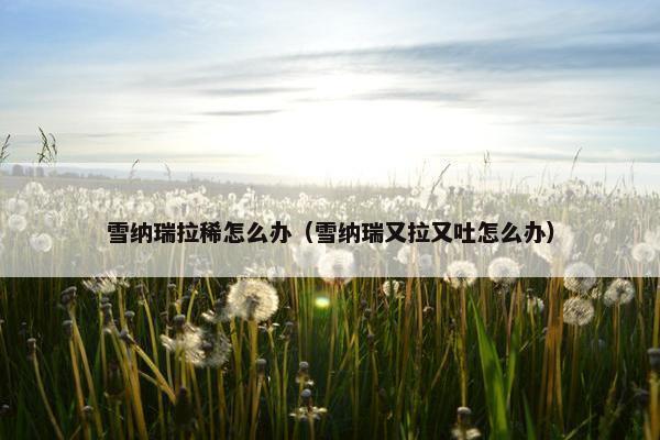 雪纳瑞拉稀怎么办（雪纳瑞又拉又吐怎么办）