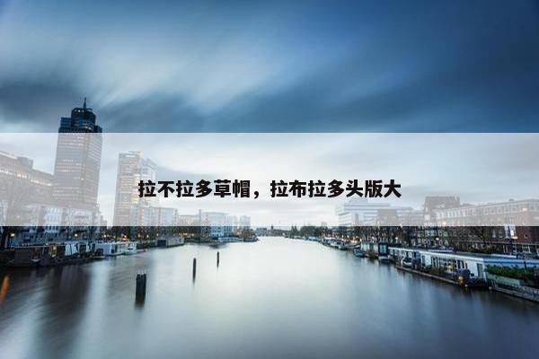 拉不拉多草帽，拉布拉多头版大