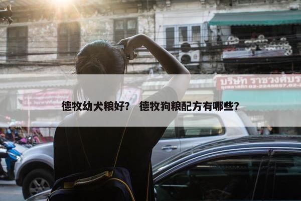 德牧幼犬粮好？ 德牧狗粮配方有哪些？