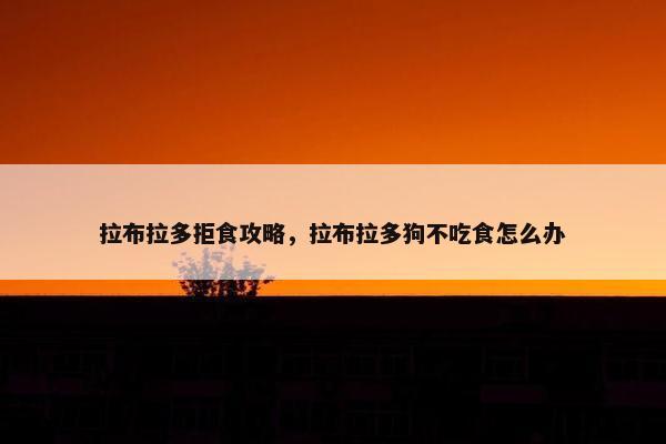 拉布拉多拒食攻略，拉布拉多狗不吃食怎么办